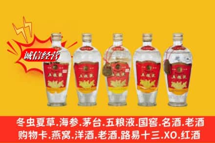 湖州南浔区回收老五粮液