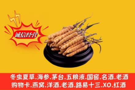 湖州南浔区名酒回收冬虫夏草.jpg